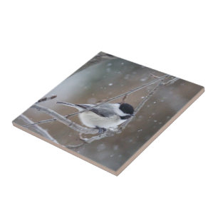 Azulejo De Cerâmica Chickadee de capa negra - Songbird