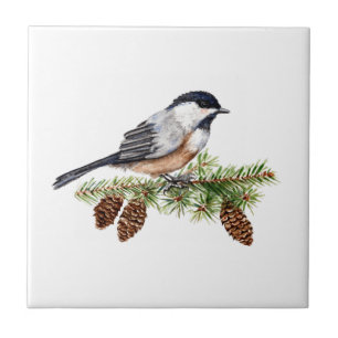 Azulejo De Cerâmica Chickadee do inverno