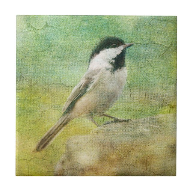 Azulejo De Cerâmica Chickadee Textured (Frente)