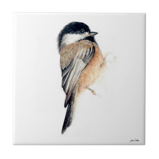Azulejo de cerâmica Chickadee Watercolor (Chickadee Watercolor Ceramic Tile from Jenn's Emporium. )