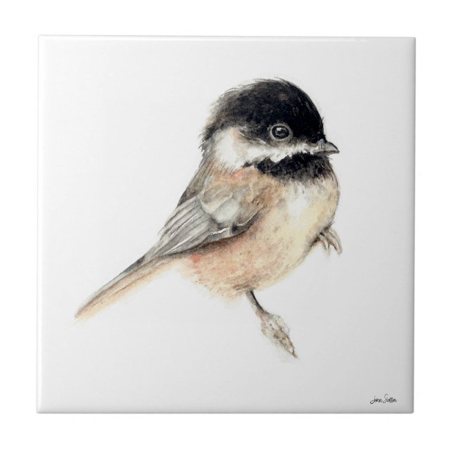 Azulejo de cerâmica Chickadee Watercolor (Chickadee Watercolor Ceramic Tile from Jenn's Emporium. )