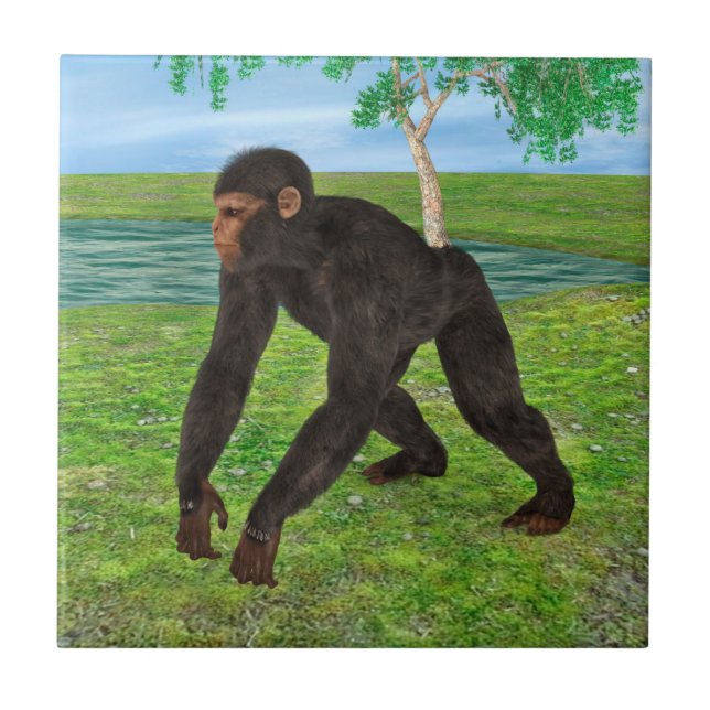 Azulejo De Cerâmica Chimpanzé (Frente)