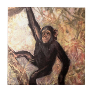 Azulejo De Cerâmica chimpanzeehangingintree002_original