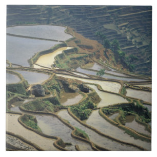 Azulejo De Cerâmica China, província de Yunnan. Terraços de arroz inun