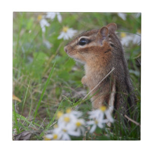 Azulejo De Cerâmica Chipmunk Adorável das flores