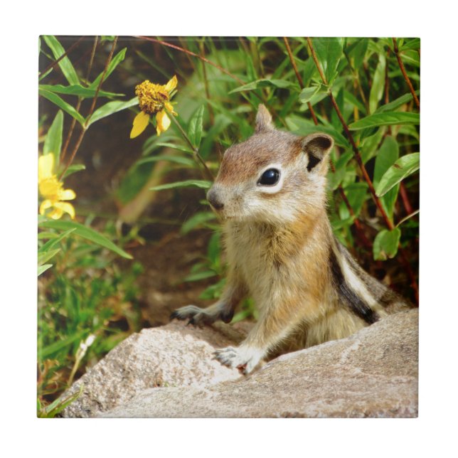 Azulejo De Cerâmica Chipset das flores amarelas (Frente)