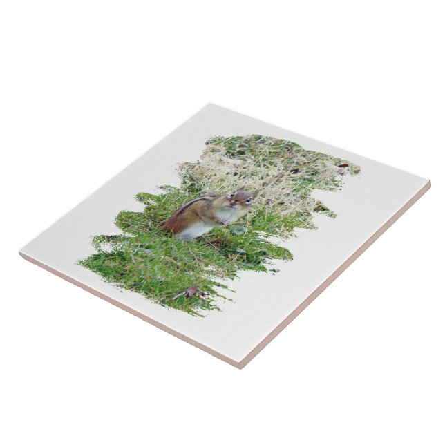 Azulejo De Cerâmica Chipset oriental (Lateral)