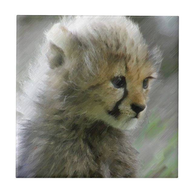 Azulejo De Cerâmica Chita 014 (Frente)