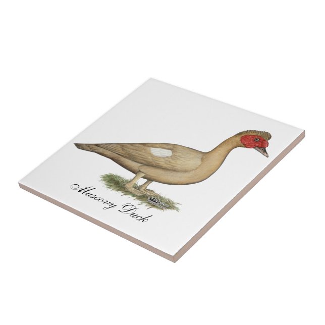 Azulejo De Cerâmica Chocolate Claro Muscovy (Lateral)