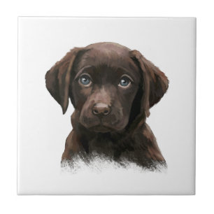 Azulejo De Cerâmica Chocolate Labrador Retriever Brown
