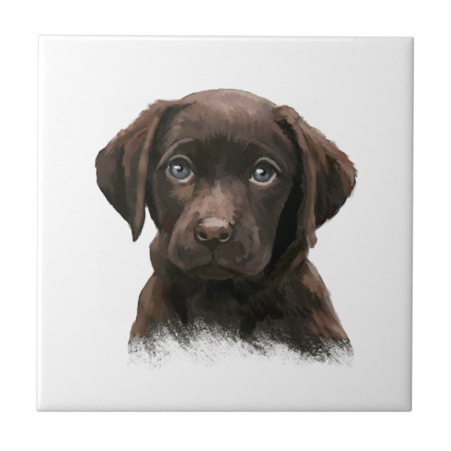 Azulejo De Cerâmica Chocolate Labrador Retriever Brown (Frente)
