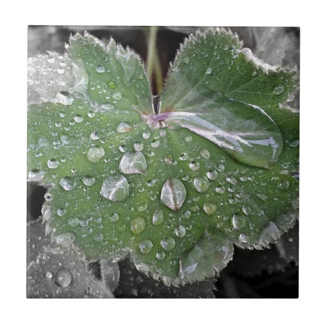 Azulejo De Cerâmica chuva pesada (Frente)