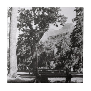 Azulejo De Cerâmica Cidade do Cabo de Waal Park Montanha África do Sul