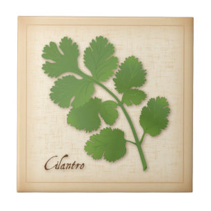 Azulejo De Cerâmica Cilantro Herb