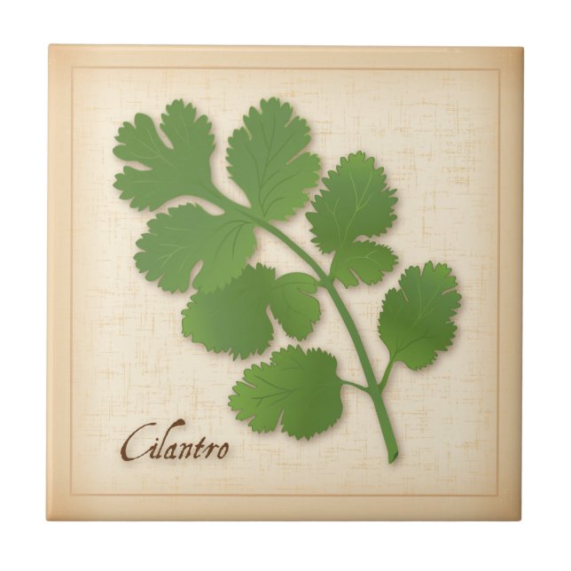 Azulejo De Cerâmica Cilantro Herb (Frente)