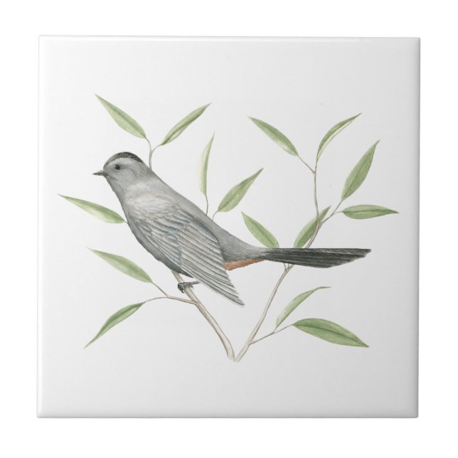 Azulejo De Cerâmica Cinza Catbird Bird Art (Frente)