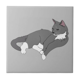 Azulejo De Cerâmica Cinza e Gato de Tuxedo Branco
