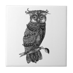 Azulejo De Cerâmica Cinza Hoot Owl com Orquídeas