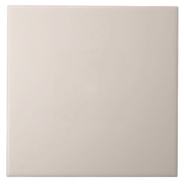 Azulejo De Cerâmica Cinza Taupe Atenuado