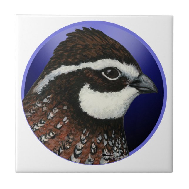 Azulejo De Cerâmica Círculo da Cabeça de Bobwhite Quail (Frente)