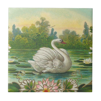 Azulejo De Cerâmica Cisne