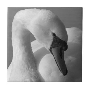Azulejo De Cerâmica Cisne (B&W)