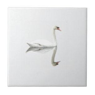 Azulejo De Cerâmica Cisne branca bonita na imagem invertida da água