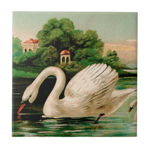 Azulejo De Cerâmica Cisne do vintage no lago