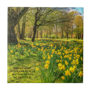 AZULEJO DE CERÂMICA CITAÇÃO DE DAFFODIL