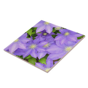 AZULEJO DE CERÂMICA CLEMÁTICA PURPSA (FOTO) GRANDE AZULEJO/TRIVET CERÂ