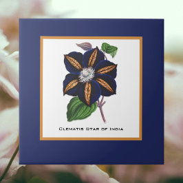 Azulejo De Cerâmica Clematis Star of India Botanical Illustration