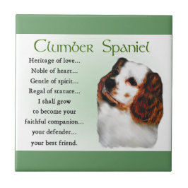 Azulejo De Cerâmica Clumber Spaniel Heritage of Love