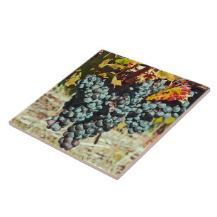 AZULEJO DE CERÂMICA "CLUSTER DE UVAS PERIGOSAS DE VINHO"