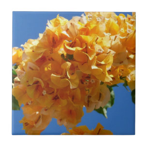 Azulejo De Cerâmica Cluster do Ouro Bougainvillea Floral