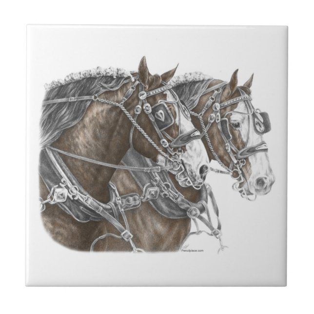 Azulejo De Cerâmica Clydesdale Draft Horse Team (Frente)