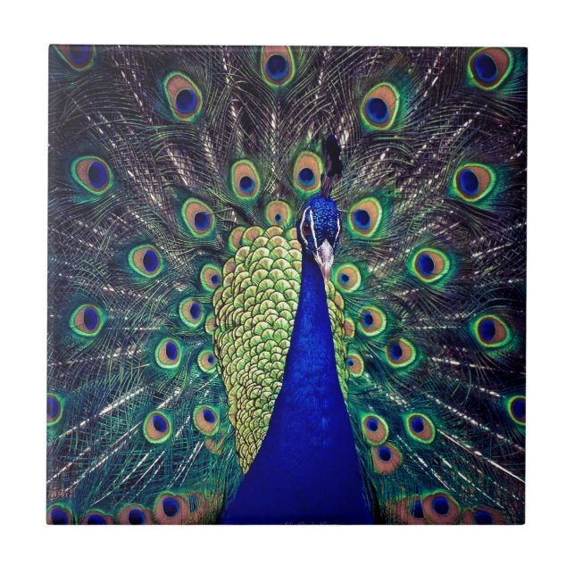 Azulejo De Cerâmica Cobalto Blue Peacock (Frente)