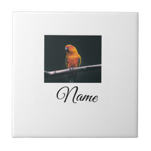 Azulejo De Cerâmica Cobertor personalizado com foto de animal colorido