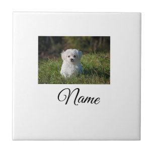 Azulejo De Cerâmica Cobertor personalizado com foto de animal colorido