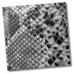 Azulejo De Cerâmica Cobra branco preto<br><div class="desc">Azulejo de Pele de Cobra de Pele de Répteis Brancos Pretos Impressão animal falso e divertida de pele de cobra preto e branco. Esta é uma foto em detalhe onde você pode quase ver a 3D das escalas. Quer queiras usar este azulejo como uma pequena porta copos ou trivit para...</div>