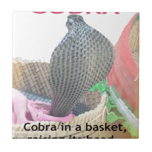 Azulejo De Cerâmica Cobra em uma cesta pronta para cuspir fogo