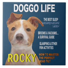 Azulejo De Cerâmica Cobrir da Revista Pitbull Parody