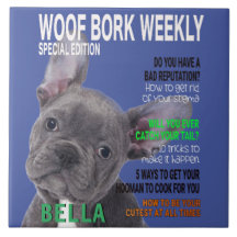 Cobrir da Revista Terrier Parody de Boston