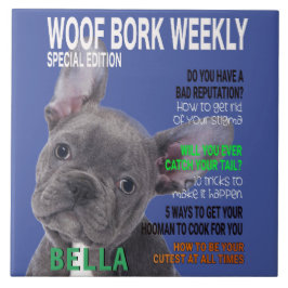 Azulejo De Cerâmica Cobrir da Revista Terrier Parody de Boston