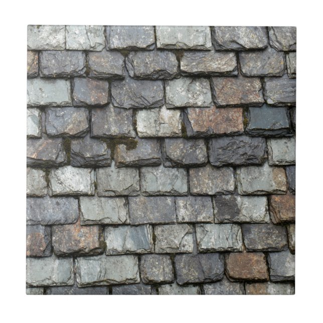 Azulejo De Cerâmica Cobrir do telhado com as placas da ardósia (Frente)