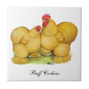 Azulejo De Cerâmica Cochins Buff Pair