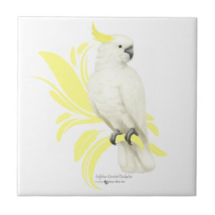 Azulejo De Cerâmica Cockatoo com crista do enxofre