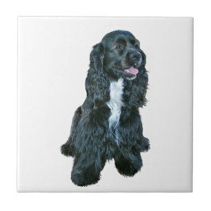 Azulejo De Cerâmica Cocker Spaniel - Preto #2