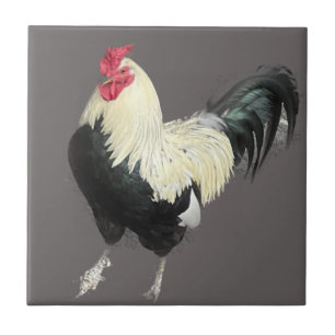 Azulejo De Cerâmica Cockerel magnífico n.o 1