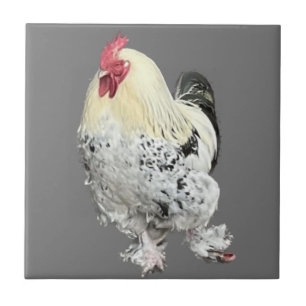 Azulejo De Cerâmica Cockerel magnífico n.o 2