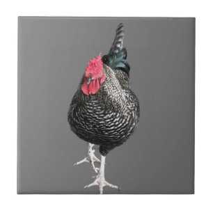 Azulejo De Cerâmica Cockerel preto n.o 3